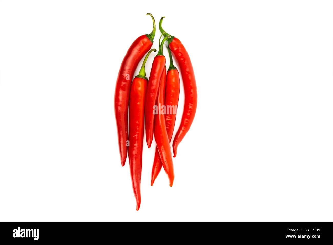 One red chilli peppers isolated on white background Stock Photo