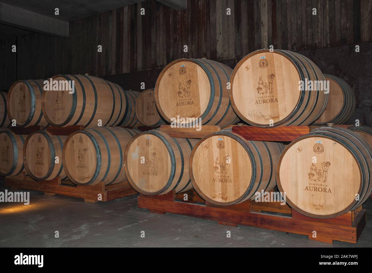 Pile of wood barrels for wine storage in a cellar from the Aurora