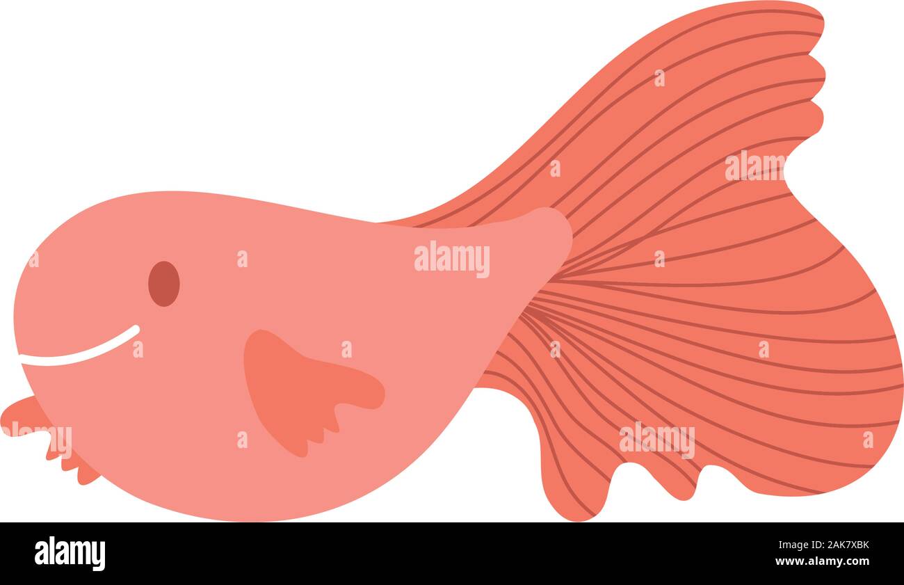 cute fish sea life animal isolated icon Stock Vector Image & Art - Alamy