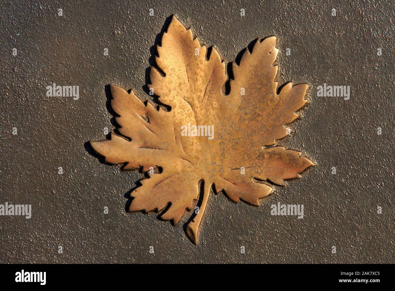 Carved Maple Leaf High Resolution Stock Photography and Images - Alamy