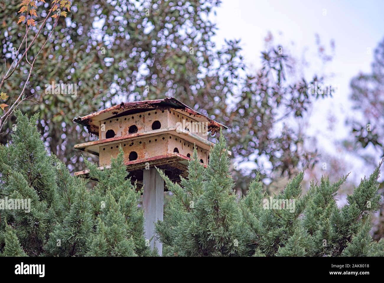 Old metal purple Martin birdhouse.  Unfortunately this old birdhouse was destroyed by hurricane Michael Stock Photo