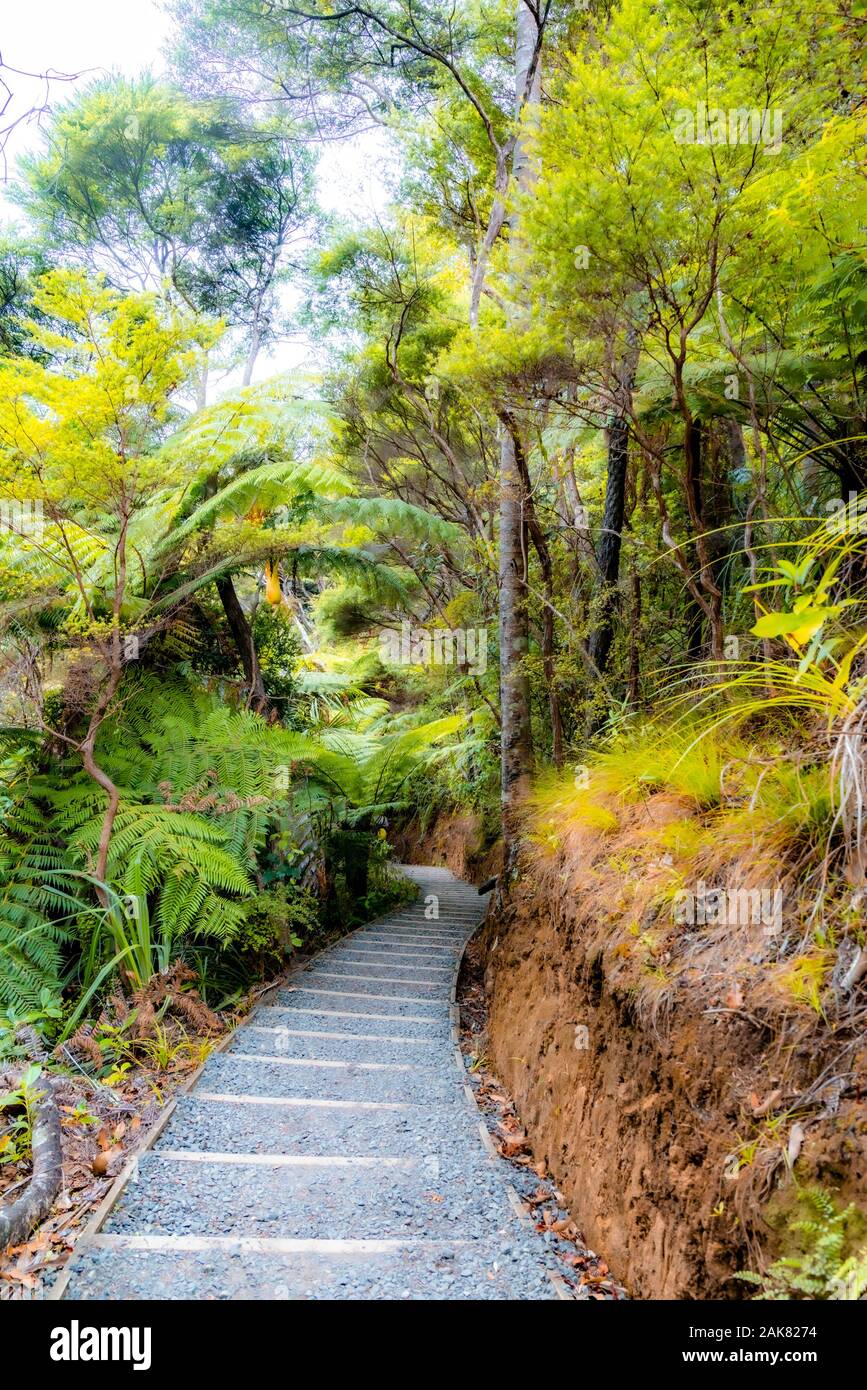 Views Leading To Kitekite Falls Piha New Zealand Stock Photo
