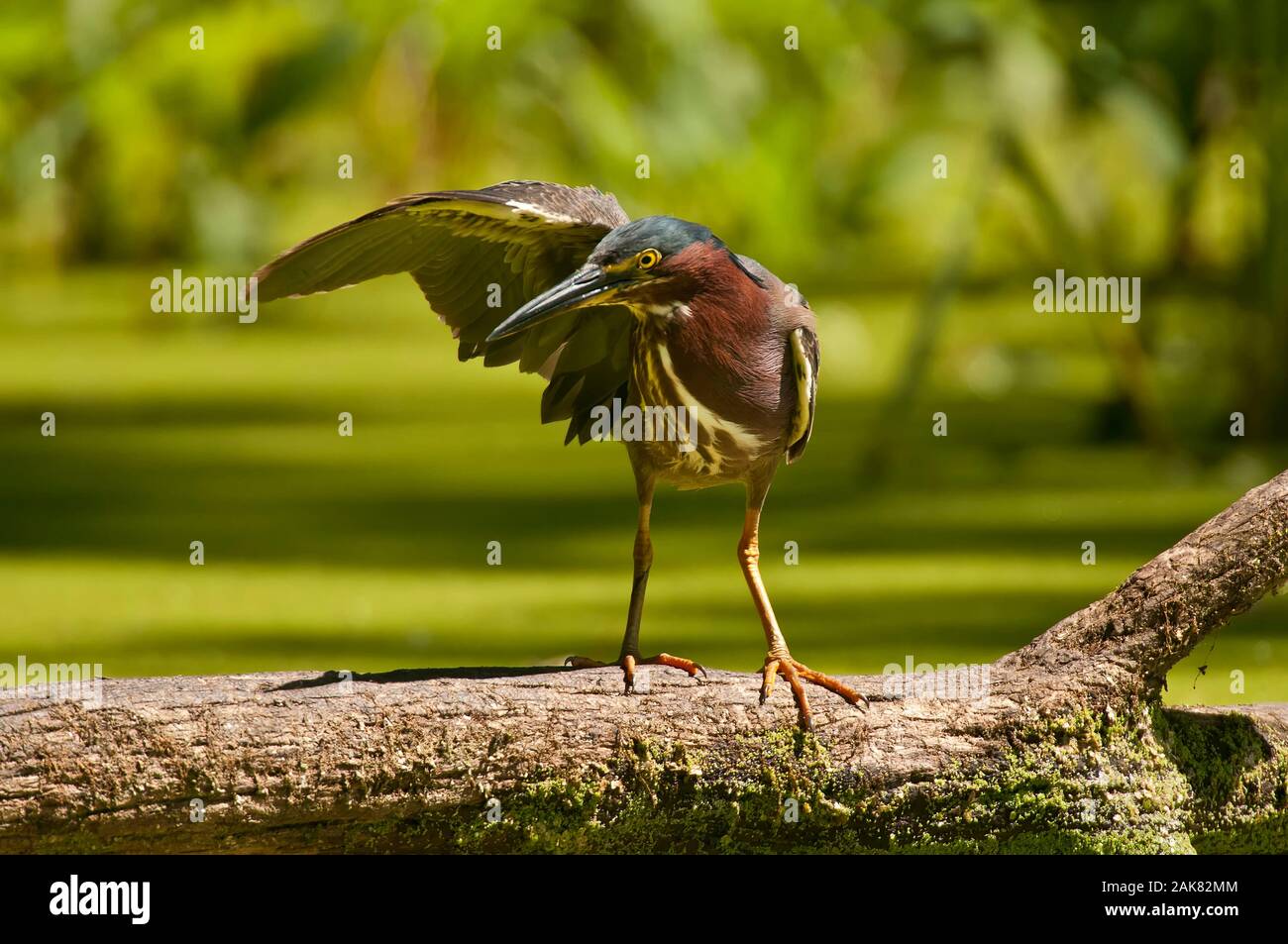 heron preston nike tee