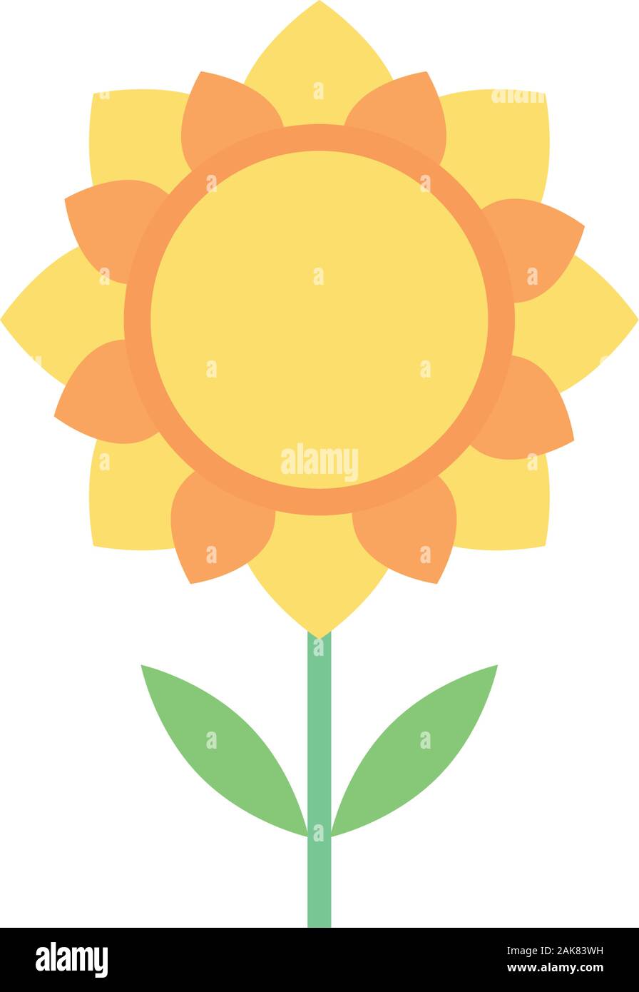 Radiant sunflower Stock Vector Images - Alamy
