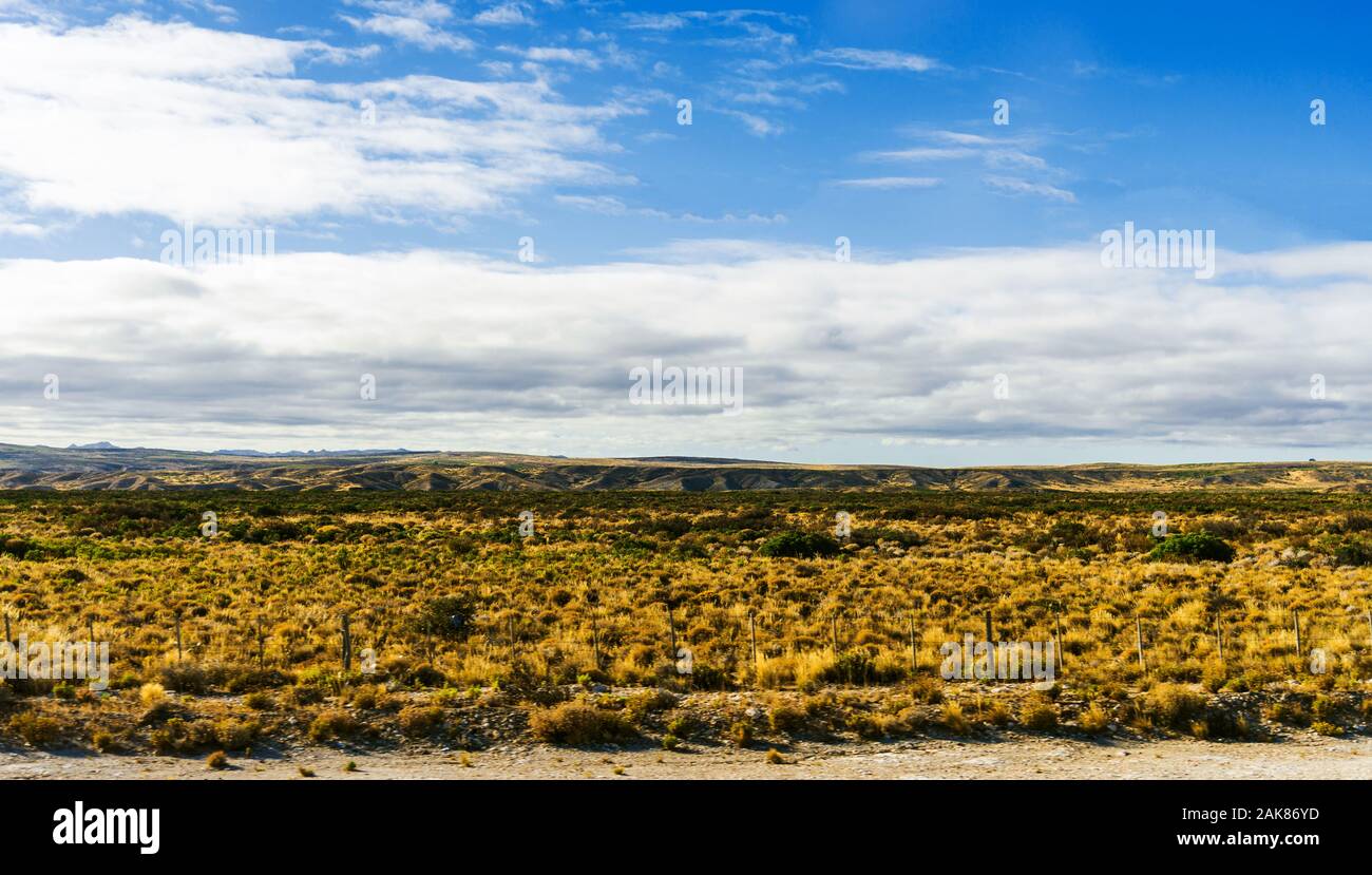 Landscape of colorful yellow steppes in the mountains of Patagonia