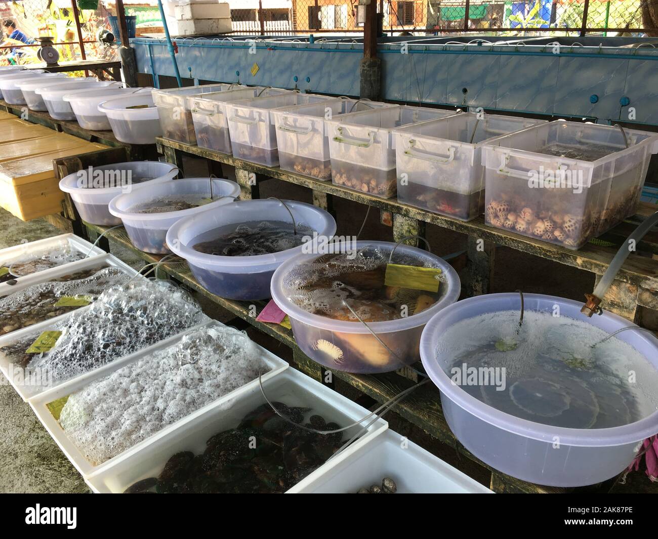 Rayong, Thailand-February 26 :Fresh seafood at Ban Phe local market on February 26, 2019 in local market, Rayong, Thailand Stock Photo
