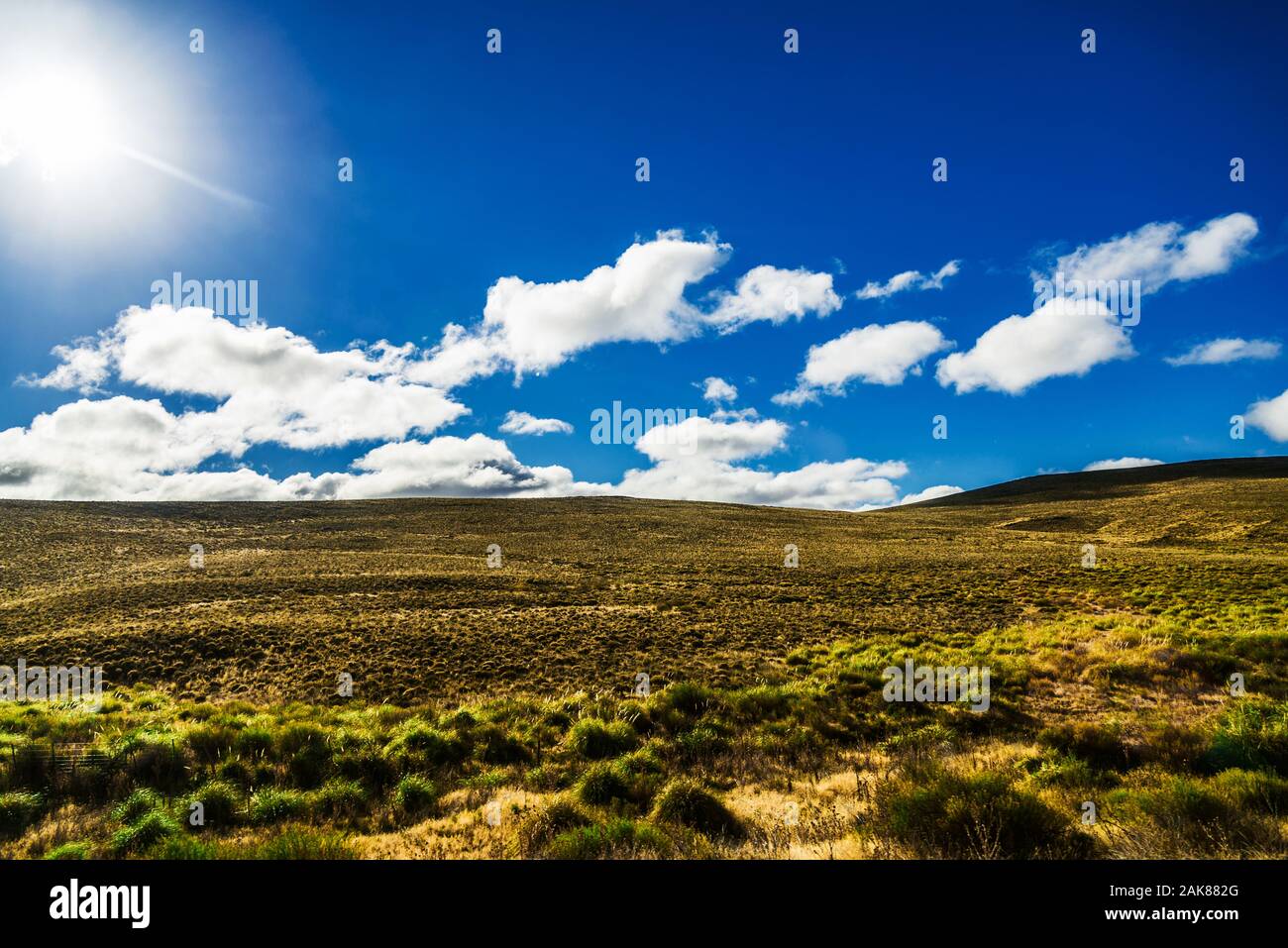 Landscape of colorful yellow steppes in the mountains of Patagonia