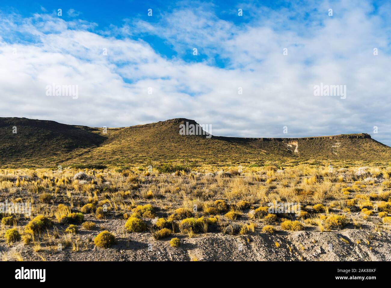 Landscape of colorful yellow steppes in the mountains of Patagonia
