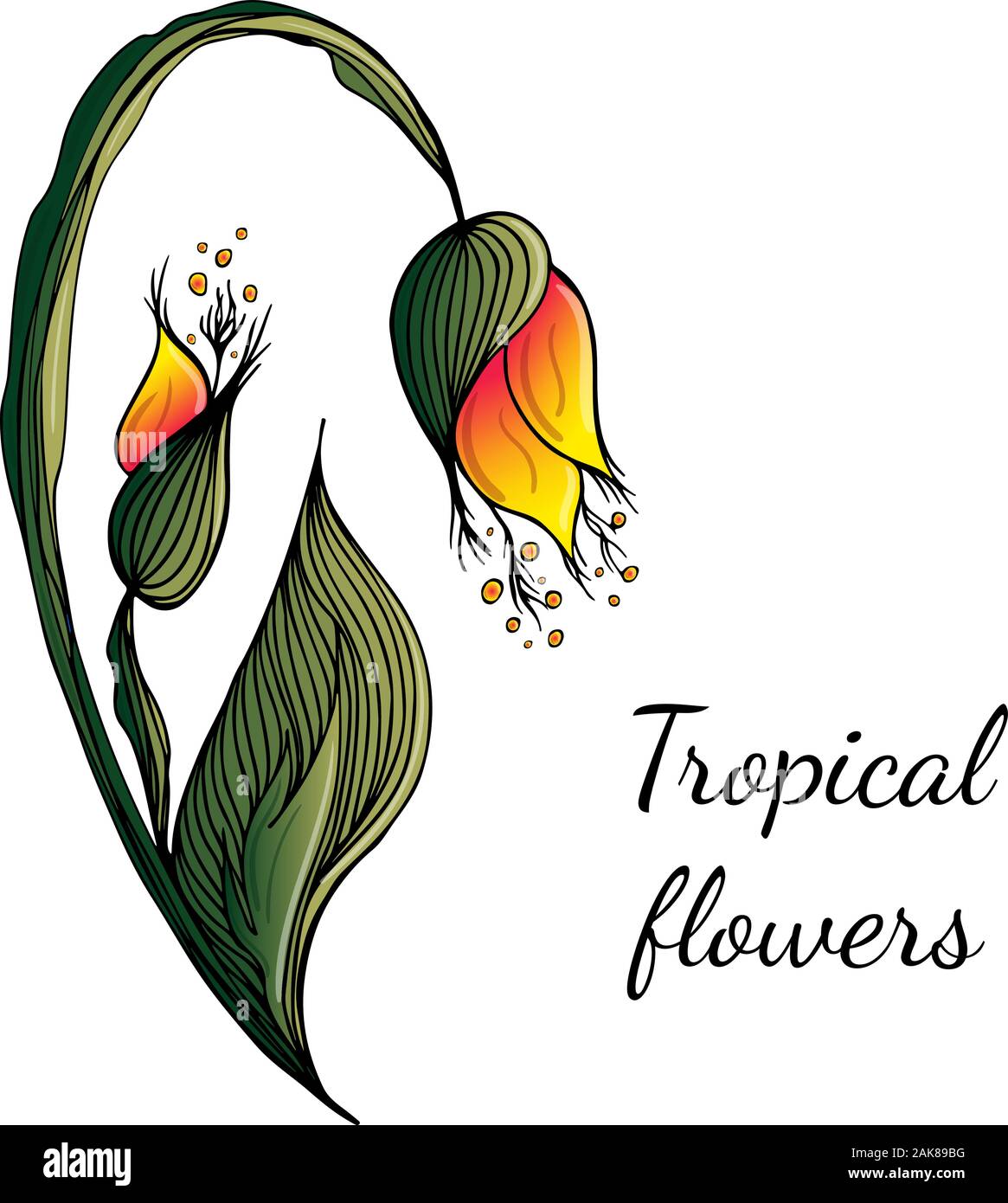 Flat hand drawn tropical flowers isolated on white background. Vector ...