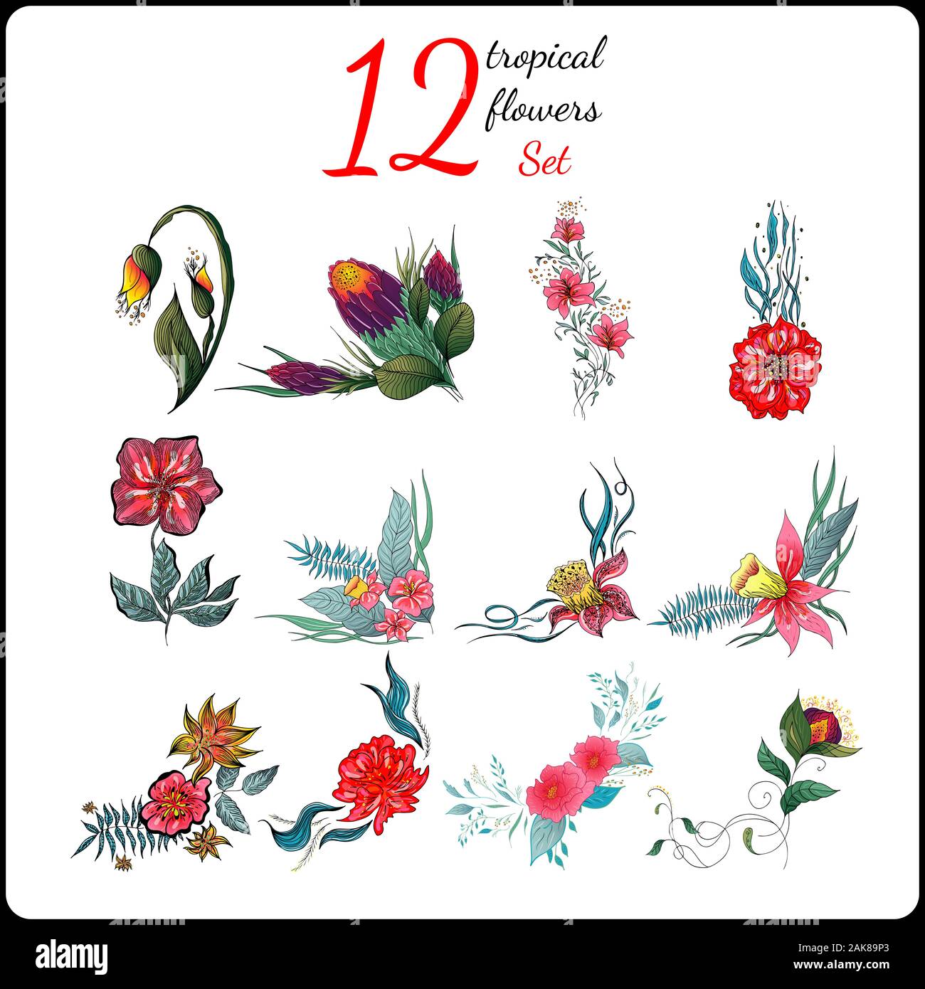 Big set of 12 colorful tropical flowers. Big floral botanical flower ...
