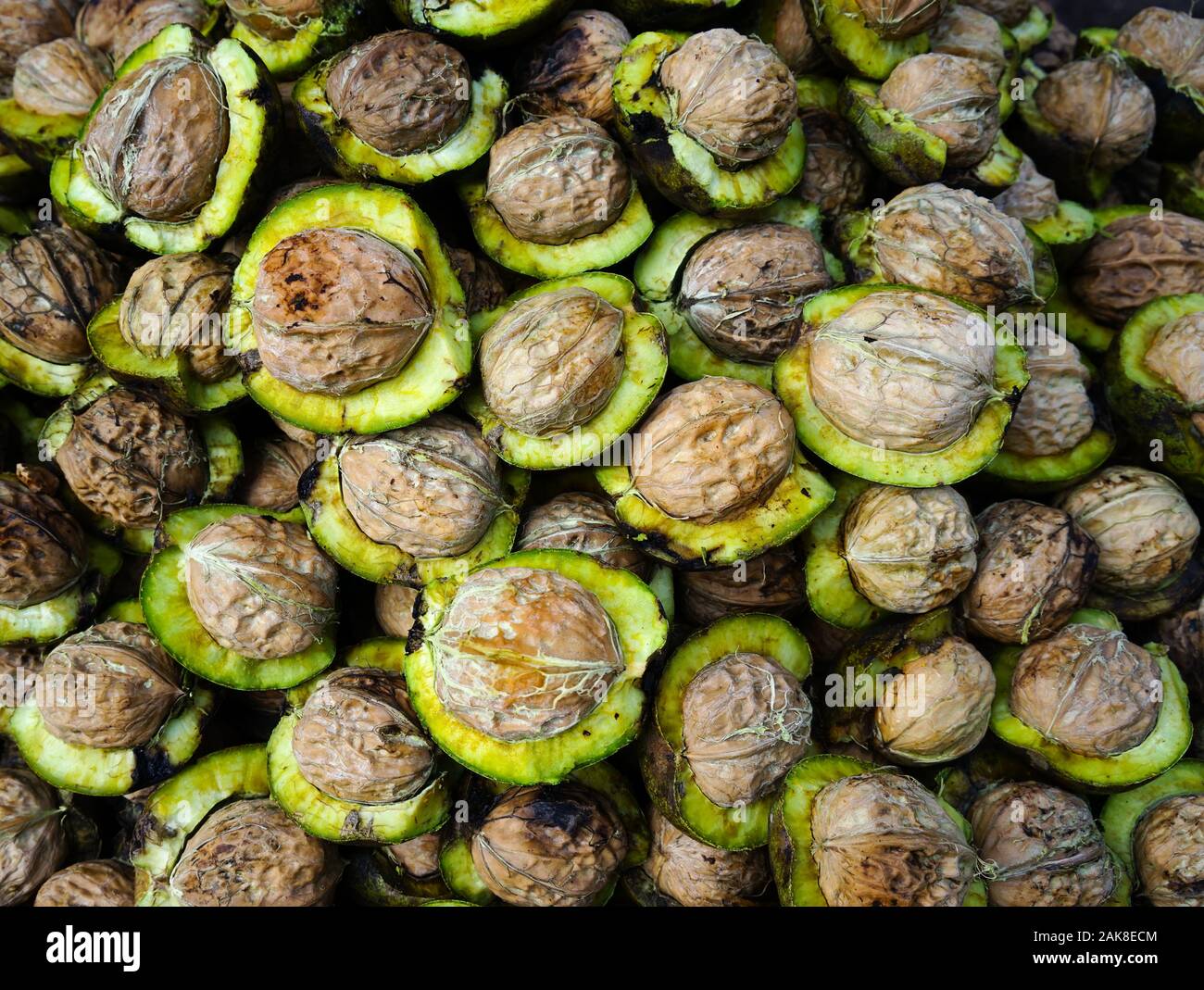 Fresh walnuts for sale at rural market in Kangding, Garze Tibetan, Sichuan Province, China Stock