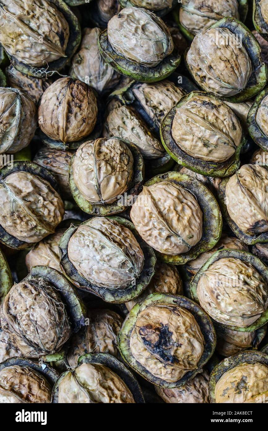 Fresh walnuts for sale at rural market in Kangding, Garze Tibetan, Sichuan Province, China Stock