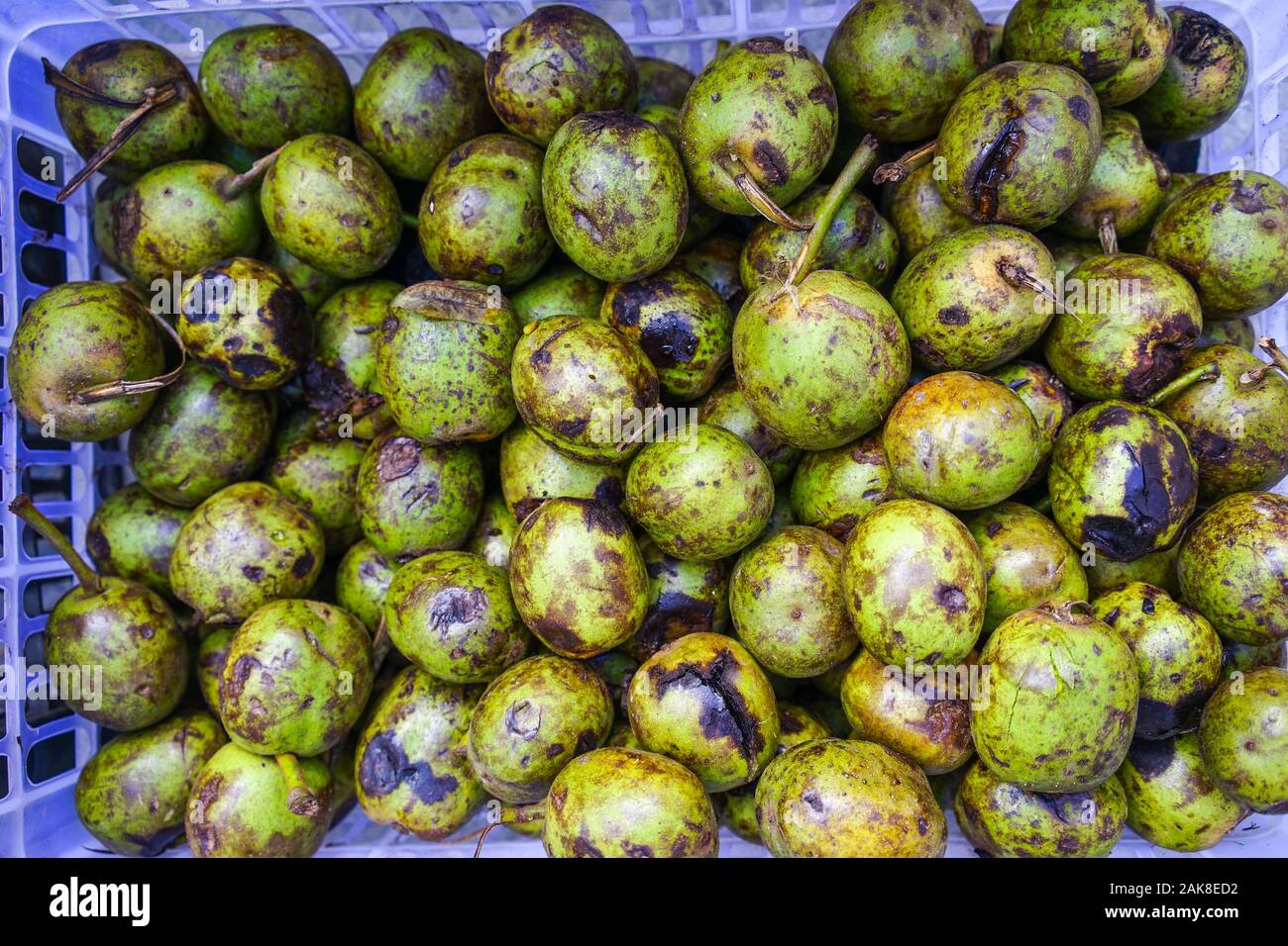Fresh walnuts for sale at rural market in Kangding, Garze Tibetan, Sichuan Province, China Stock