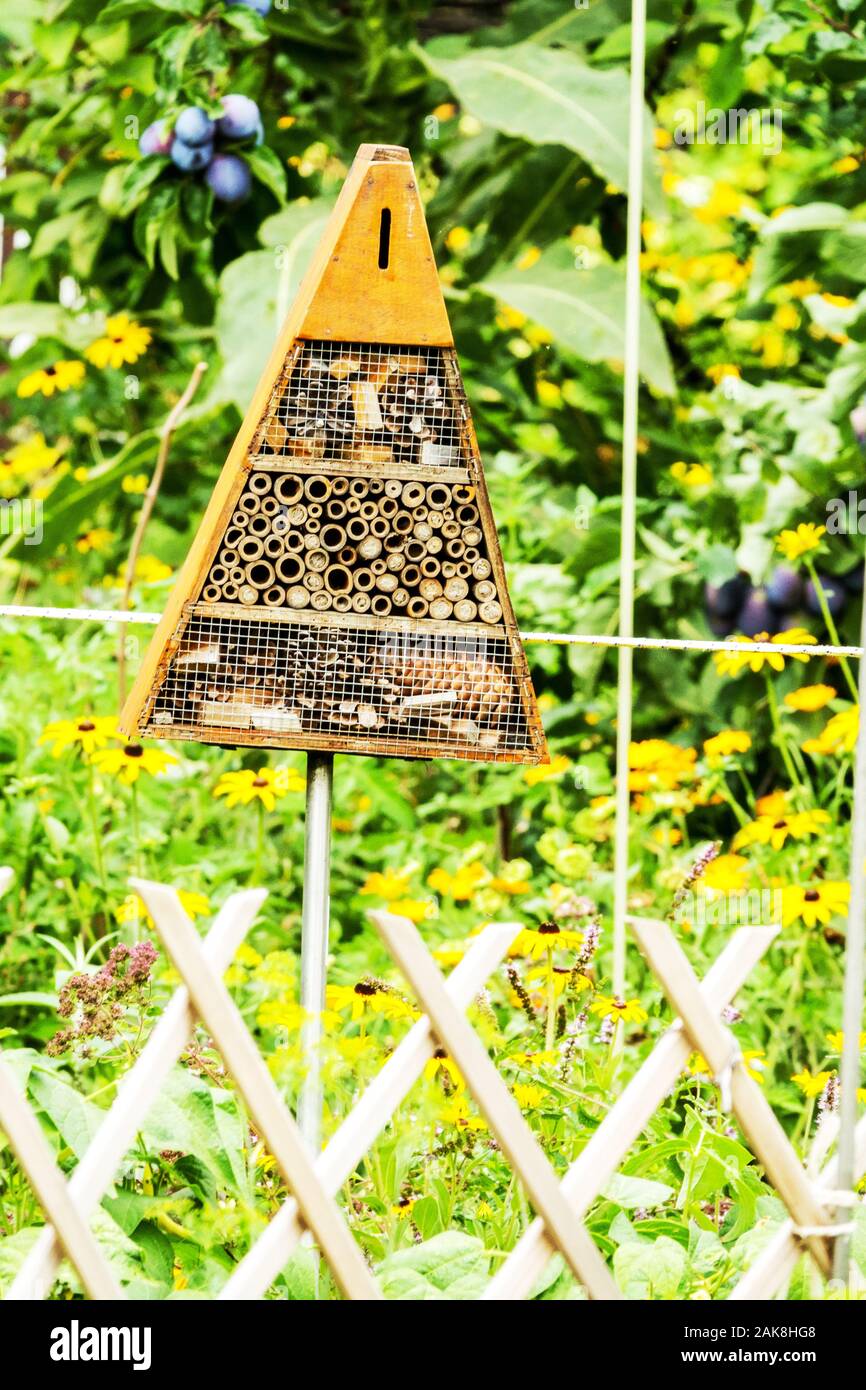Insect hotel in flowering garden Stock Photo