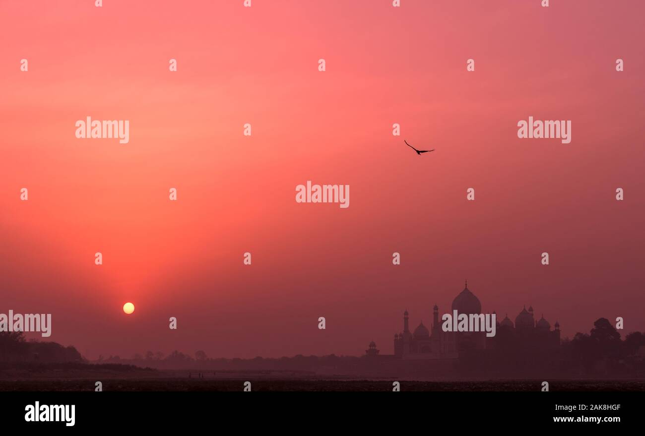 Silhouettes of majestic ancient Taj Mahal temple and a soaring eagle on the background of pink sky at sunrise; UNESCO world heritage, bank of the Yamu Stock Photo