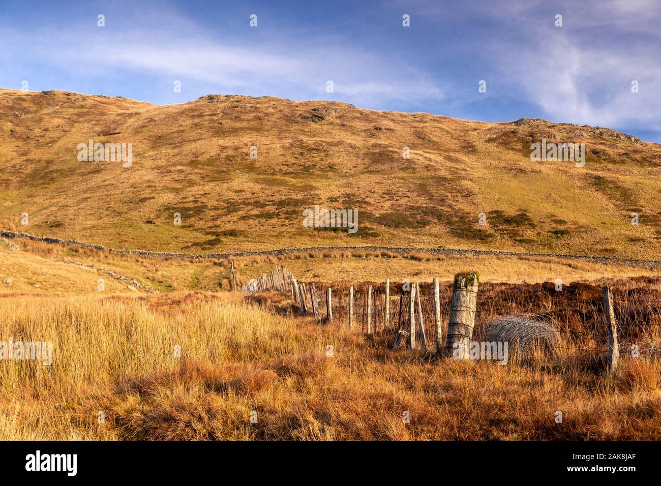 Fence in winter, Snowdonia, North Wales Stock Photo
