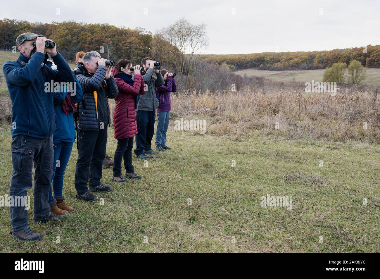 Visitors observing birds in Cobor Biodiversity Farm, Romania Stock Photo