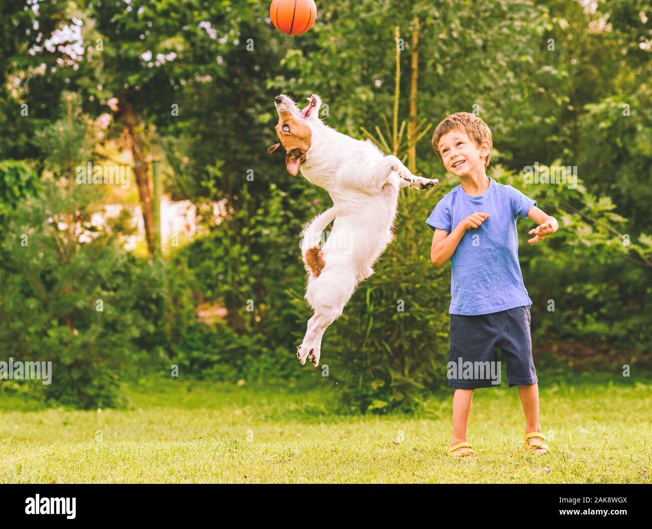 Happy kid looking at jumping dog catching basketball ball Stock Photo