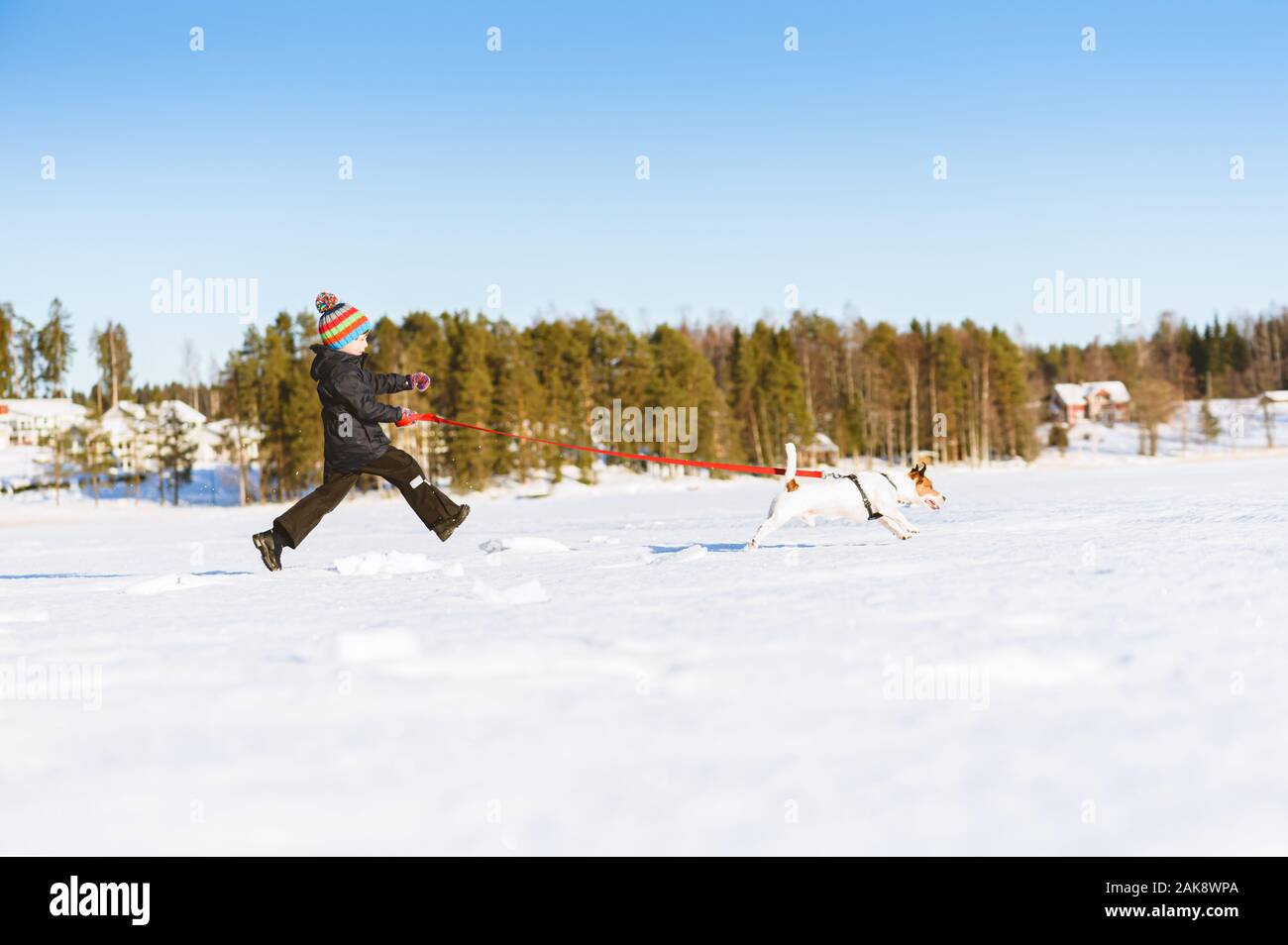 Winter in Finland concept with boy running after dog on ice of frozen lake with village in background Stock Photo