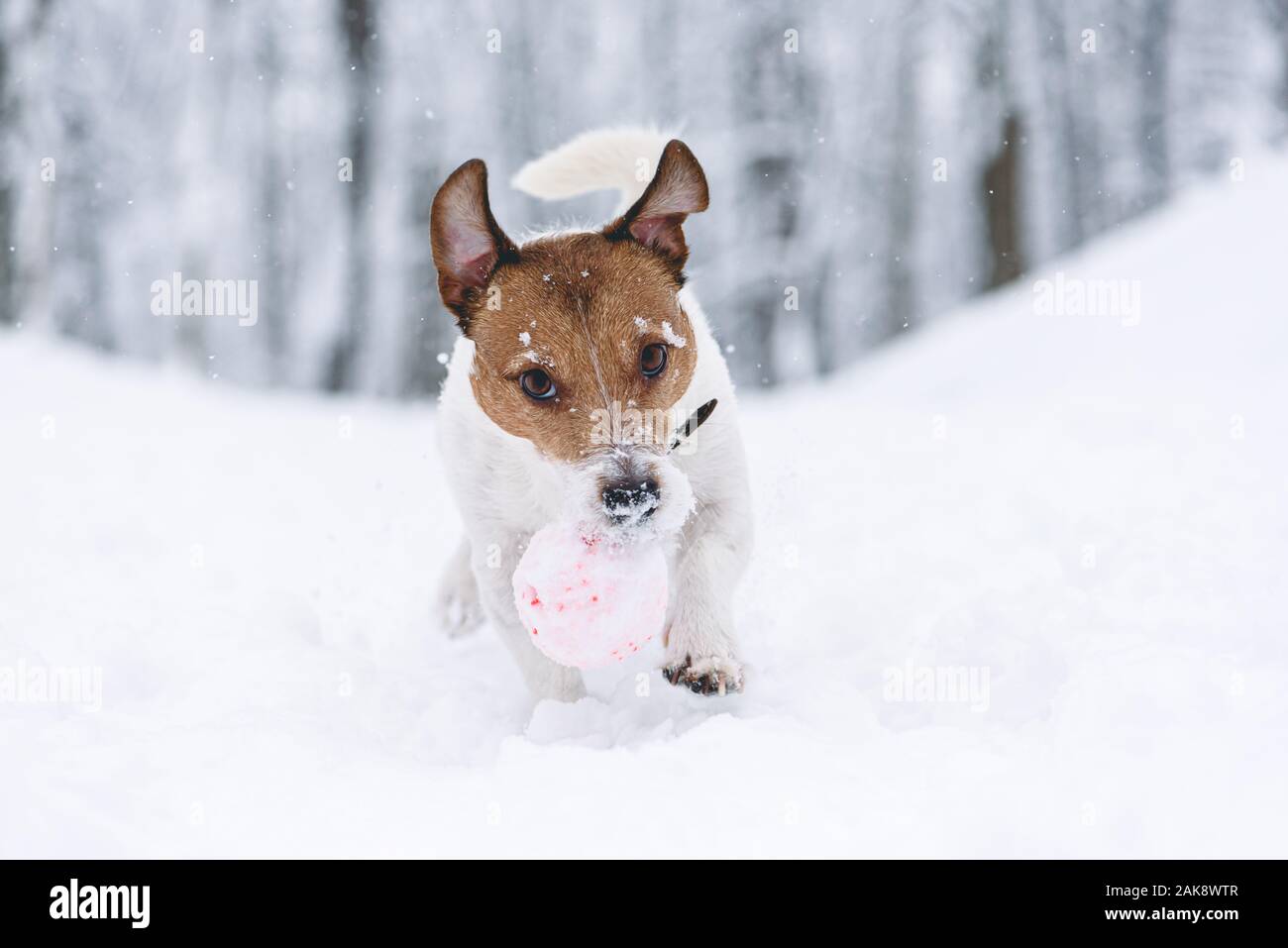 Walking Toy High Resolution Stock Photography and Images - Alamy
