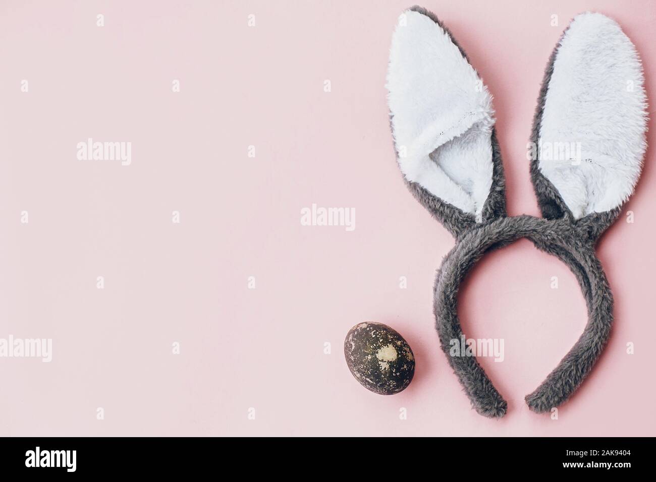 Stylish easter egg and bunny ears flat lay on pink wallpaper with copy ...
