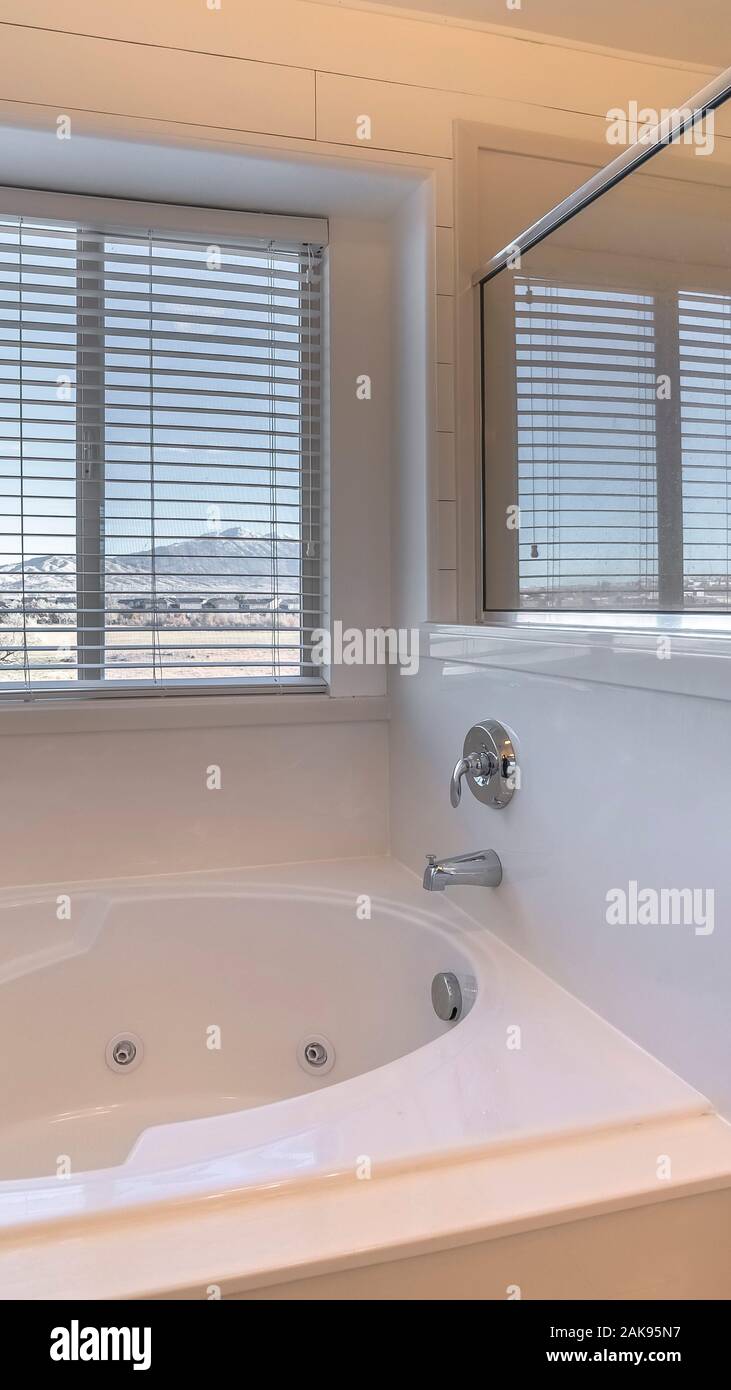 Vertical frame Bathroom interior with spa bath or jacuzzi Stock Photo ...