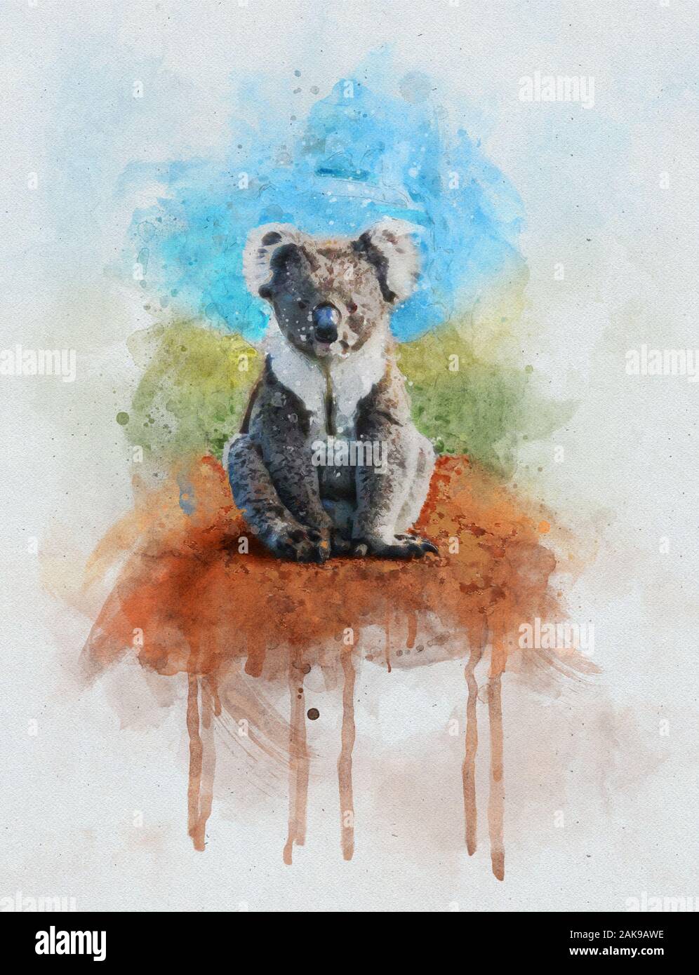 Watercolor Illusration of a Koala Stock Photo Alamy