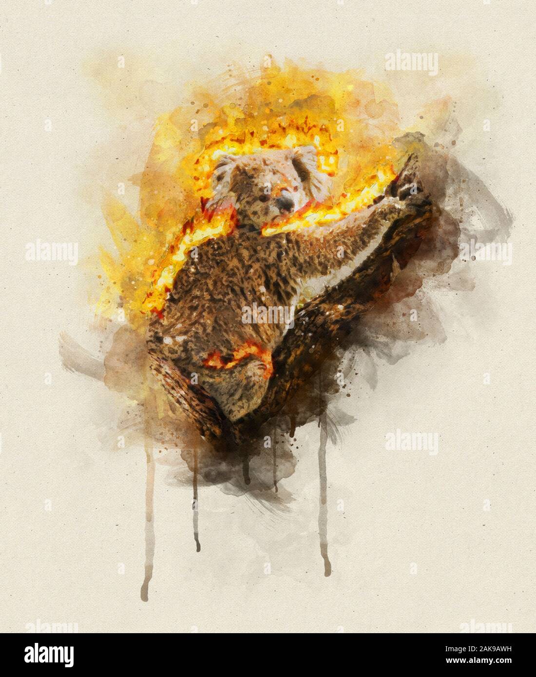 Illustration of a Burning Koala Stock Photo