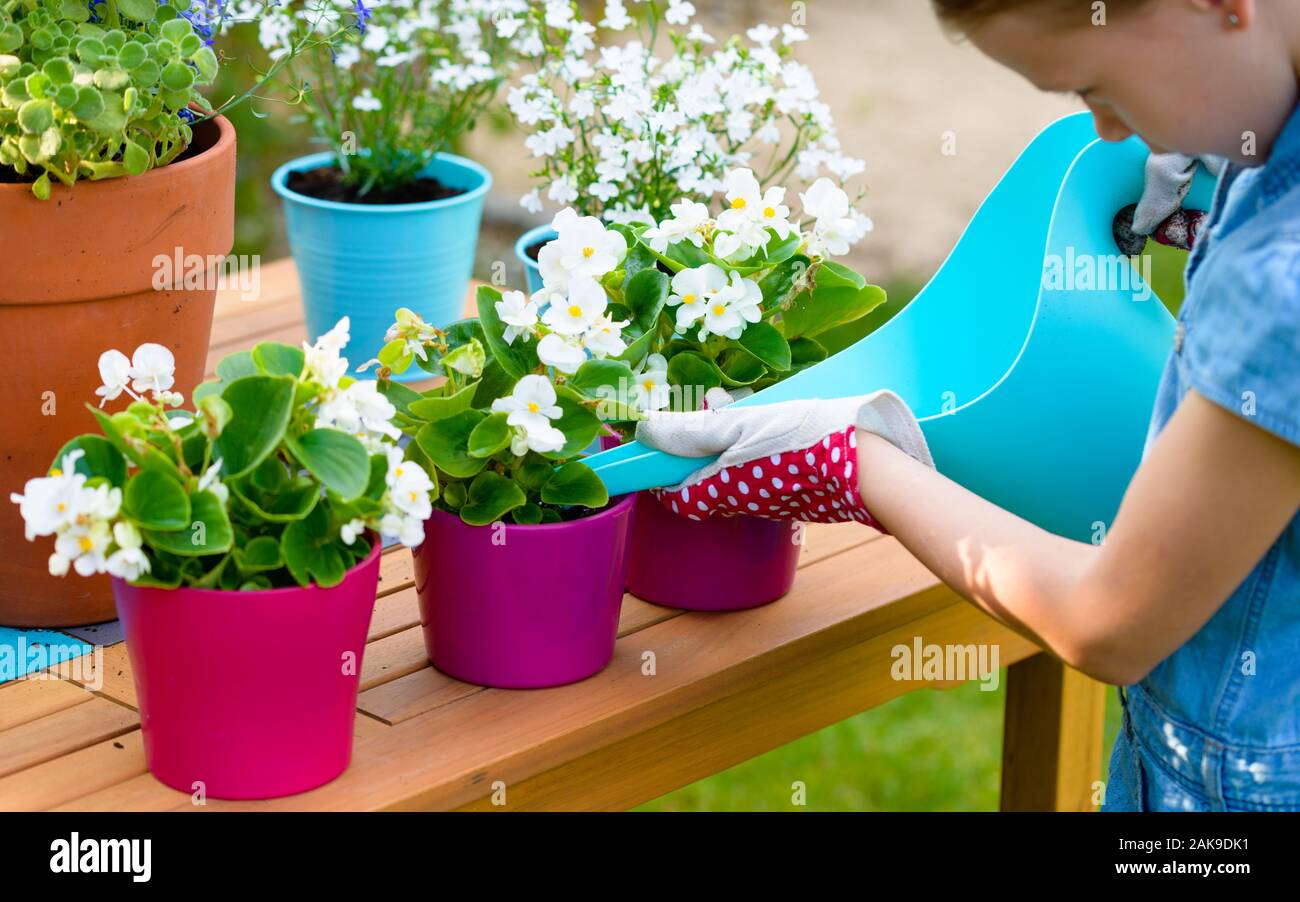little girl watering freshly planted flowers in pots Stock Photo Alamy