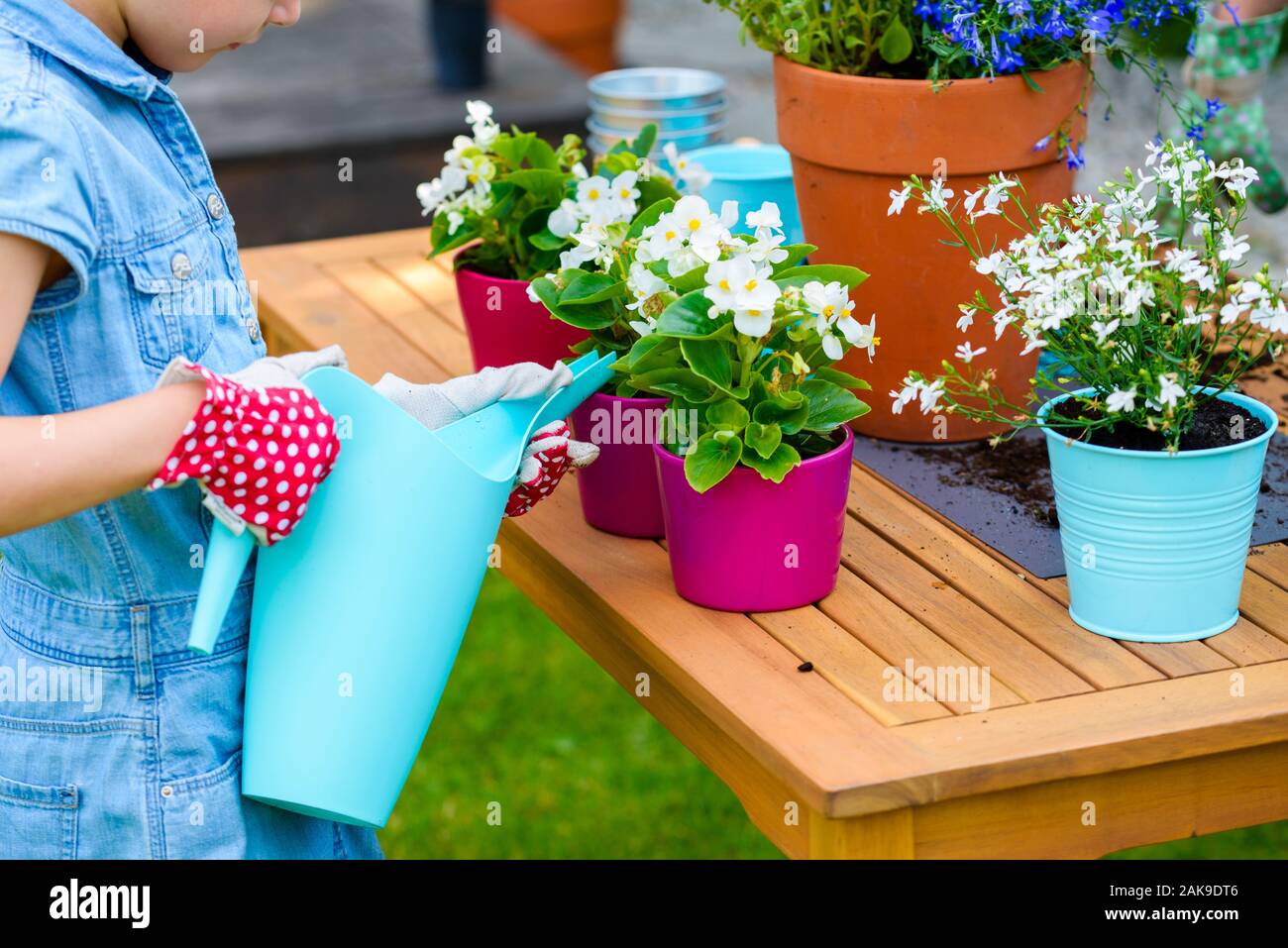 little girl watering freshly planted flowers in pots Stock Photo Alamy