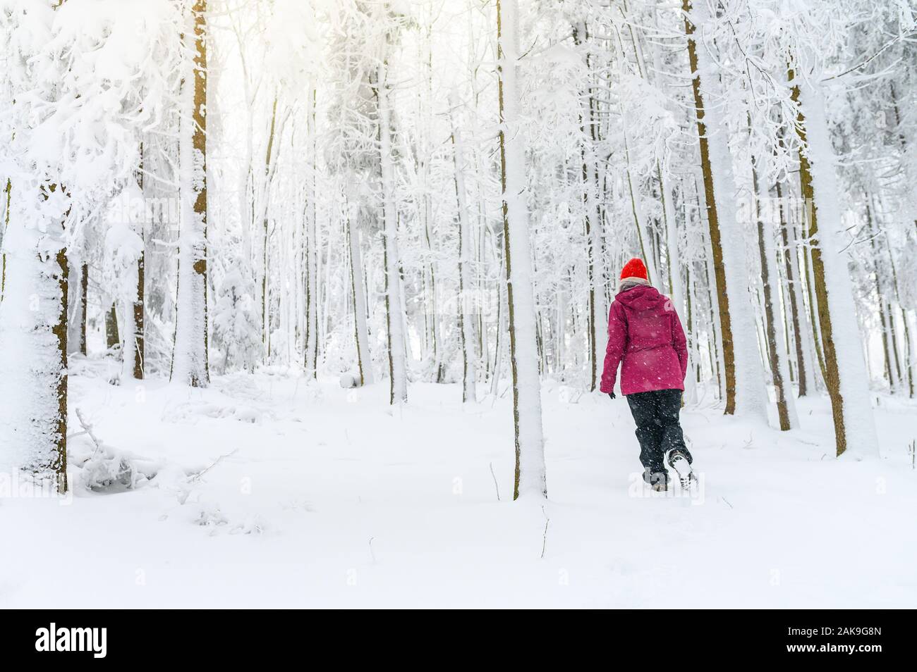 Active woman hiking in white winter snowy forest Stock Photo - Alamy