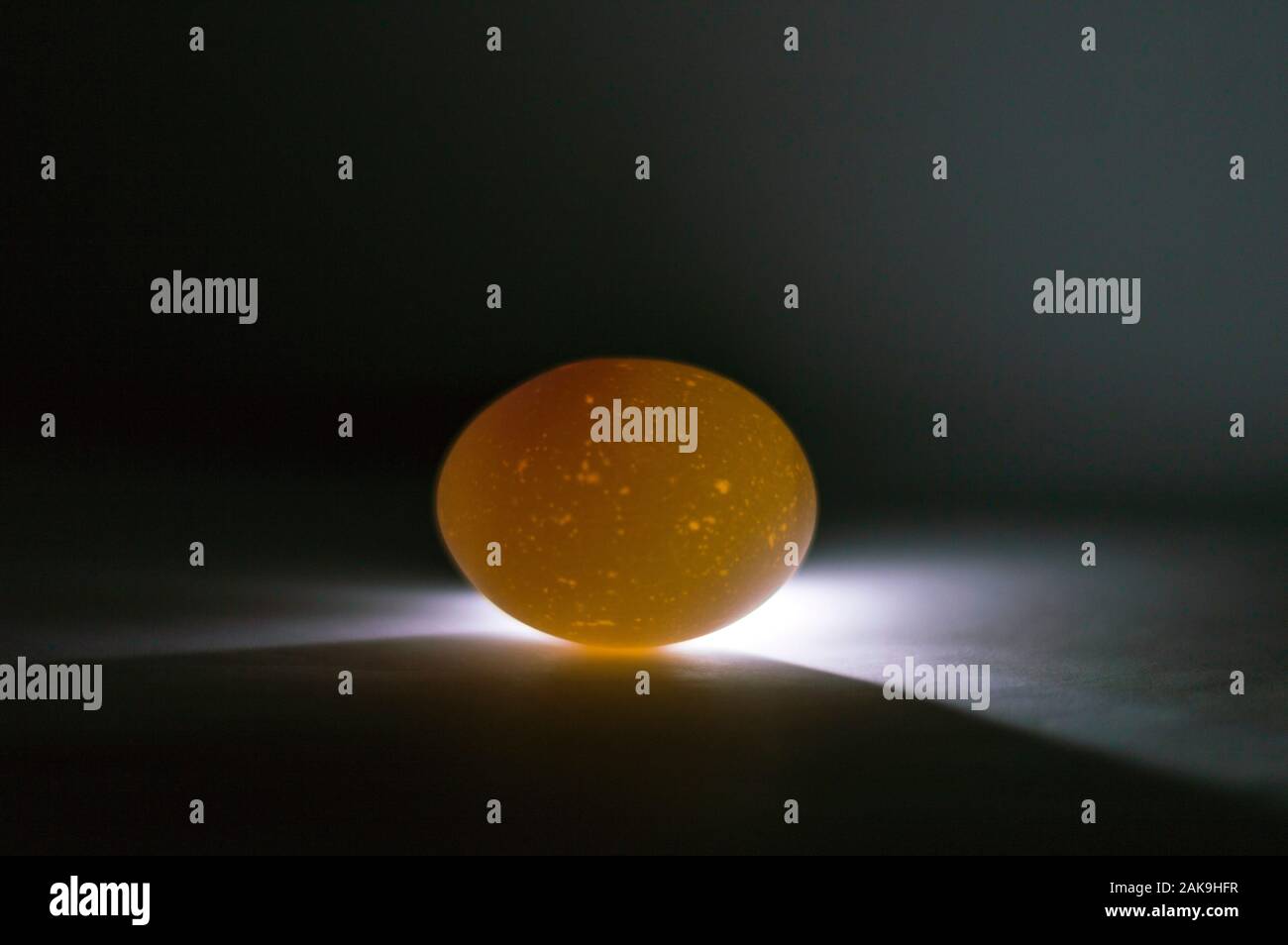 Chicken egg backlit from below with a phone flashlight. The yolk