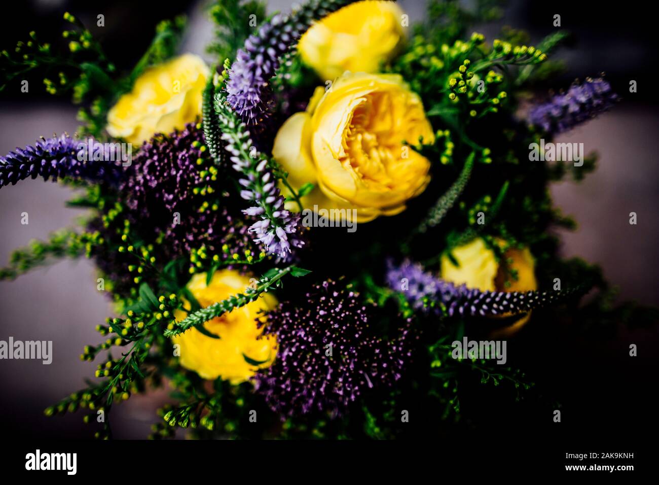 Variety of beautiful colourful fresh seasonal flowers in bloom like