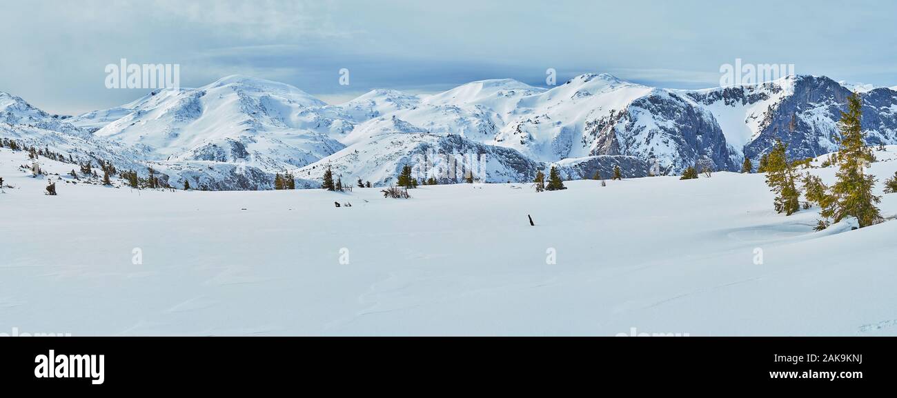 Enjoy the scenic snowy landscape of Feuerkogel Mountain plateau with spruce trees and magnificent view on the rocky Alpine slopes on background, Ebens Stock Photo