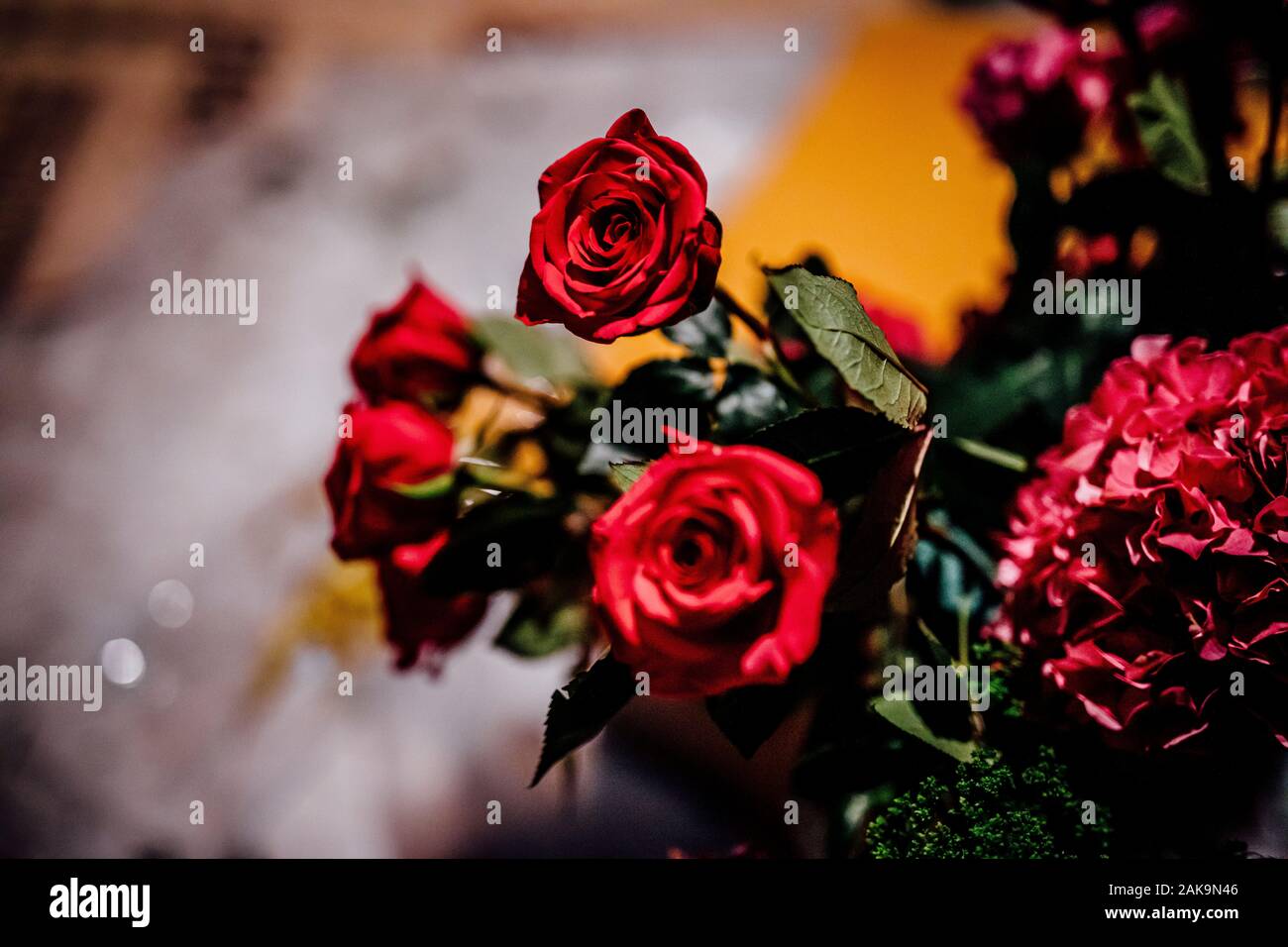 Variety of beautiful colourful fresh seasonal flowers in bloom like