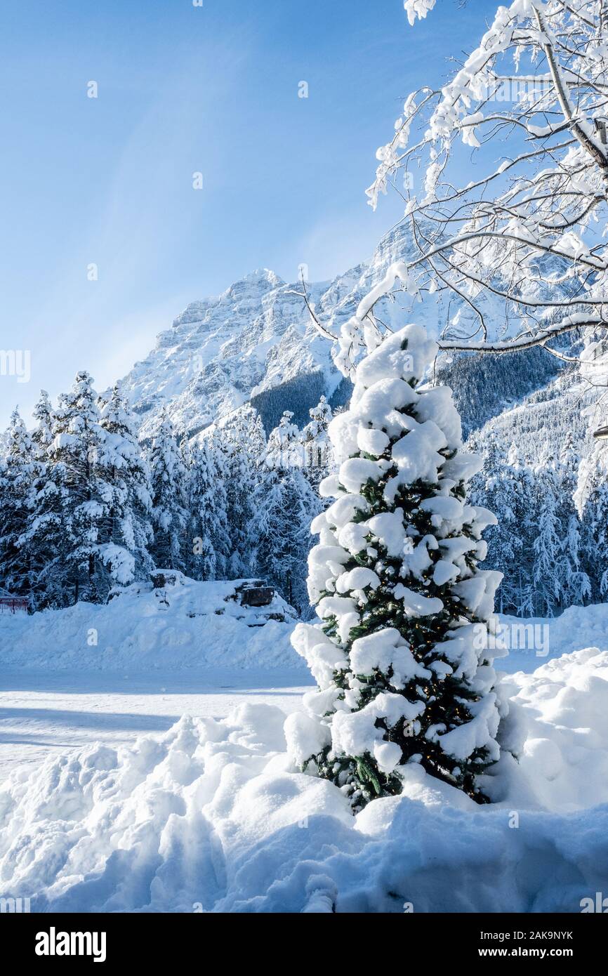 Pines and rocky mountains in a valley covered in snow during a winter ...
