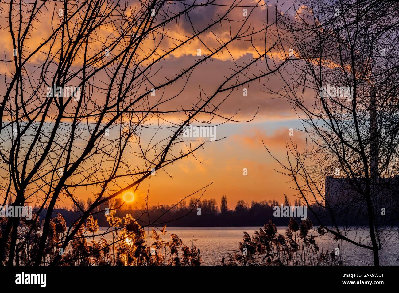 Garbage plant smokestack at sunrise near the lake. Silhouette of reeds and branch trees. Stock Photo