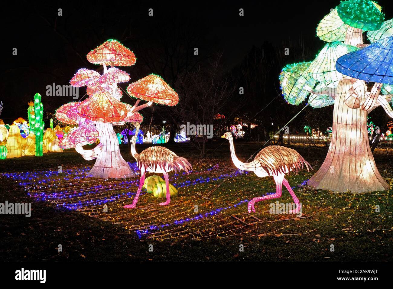 Winter Lantern Festival 2025 Snug Harbor Janie Philis