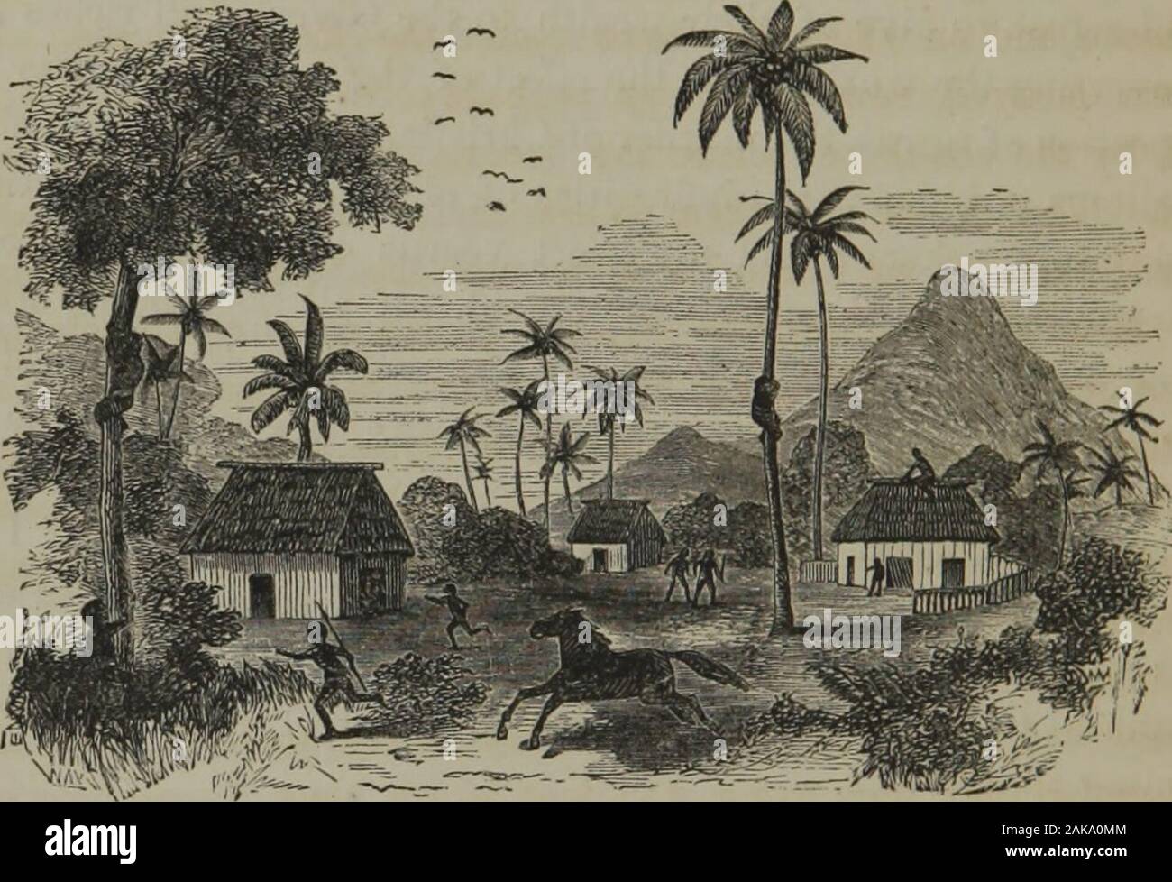 Fiji and the Fijians . onflagration of towns, the murder of Christians, the violation of chastity,the wailings of infancy, the infirmities of old age not only unpitied, butturned into mockery; and my heart yearns over those whose suffer-ings are unremoved through love of gold. If all the stirring scenes ofCalvary, and the unchangeable love of a merciful God, will not stir suchup to duty, could you not alarm their fears by exhibiting the fearfulconsequences of retaining more than is meet, when Christs cause withsuffering humanity requires it ] But you will be thinking, if I do notoease this str Stock Photo