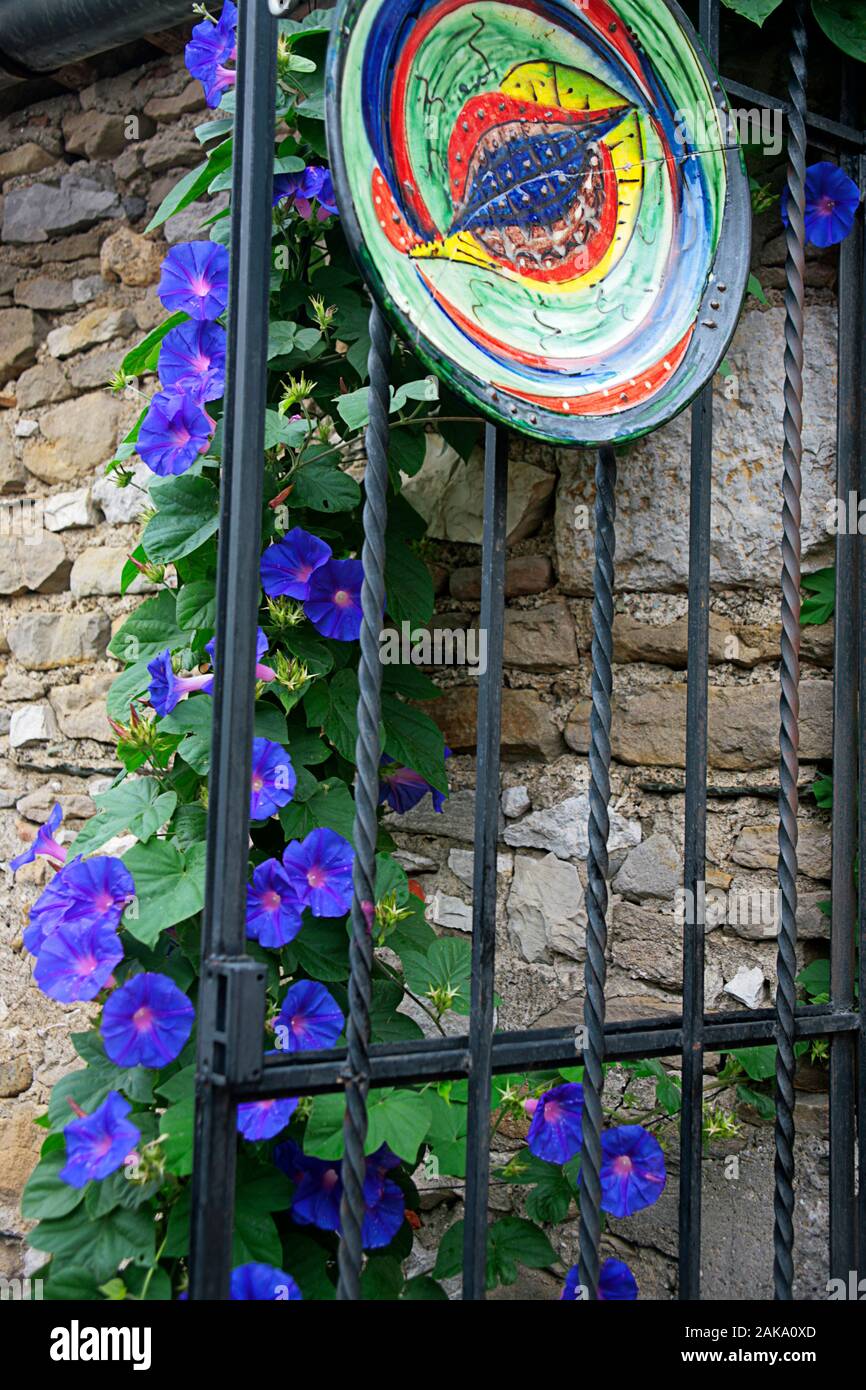 Detail with fancy pottery plate and bright blue Morning Glory (ipomoea) in Grand Rue, Minerve, Hérault, Occitanie, France Stock Photo