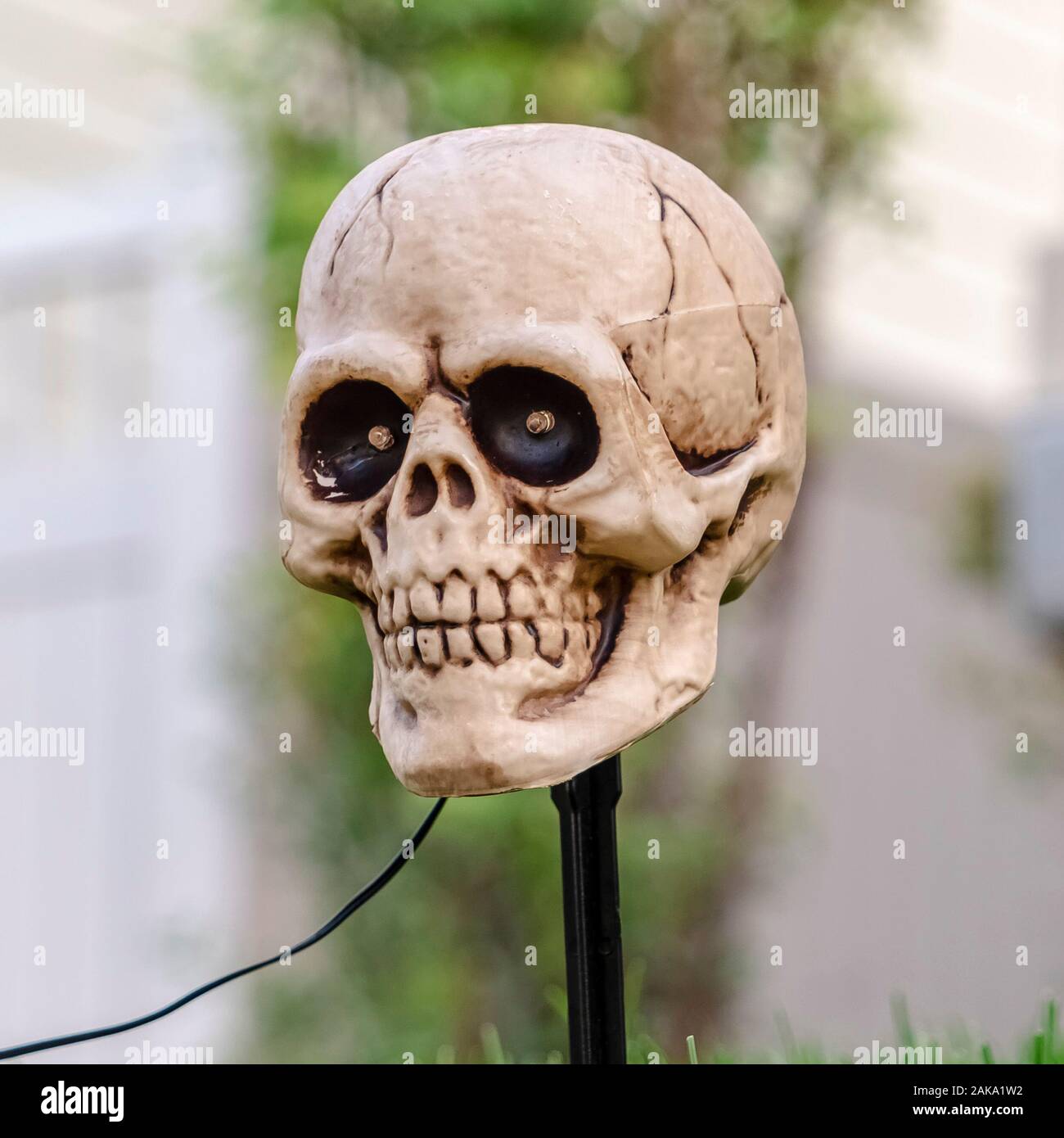 Square Ghoulish exterior Halloween light in form of skull Stock Photo