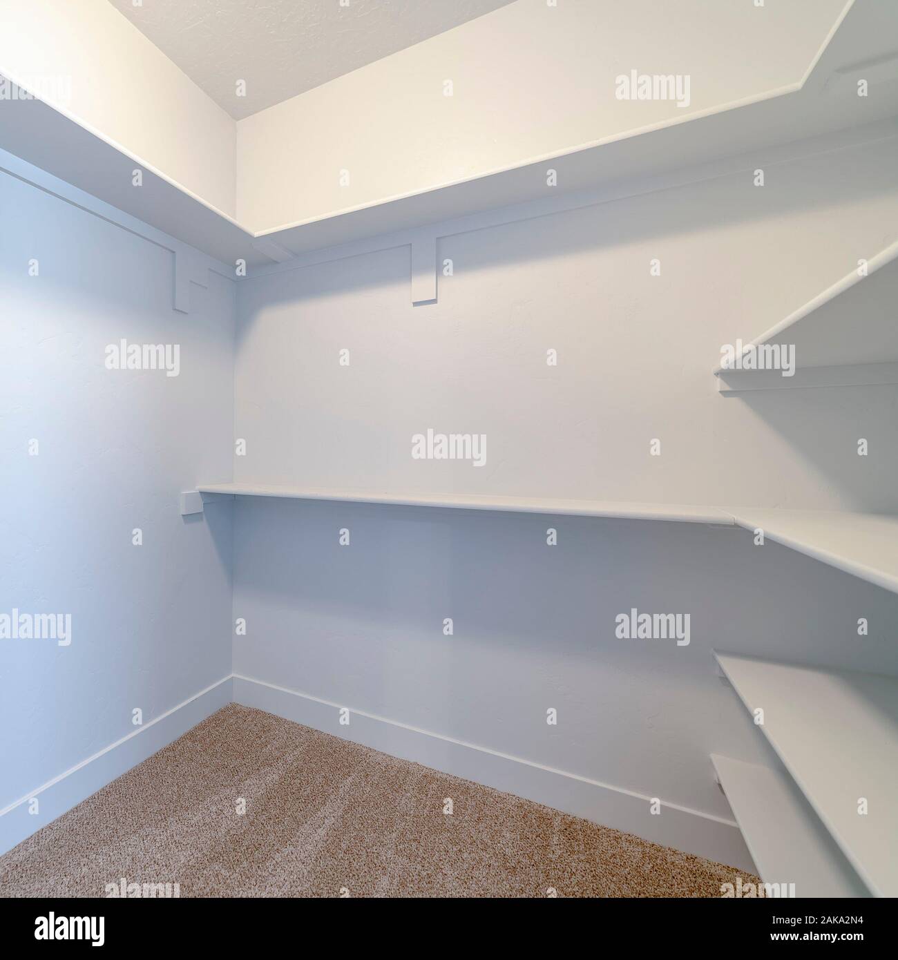Square frame Empty white shelves inside a walk in cupboard Stock Photo