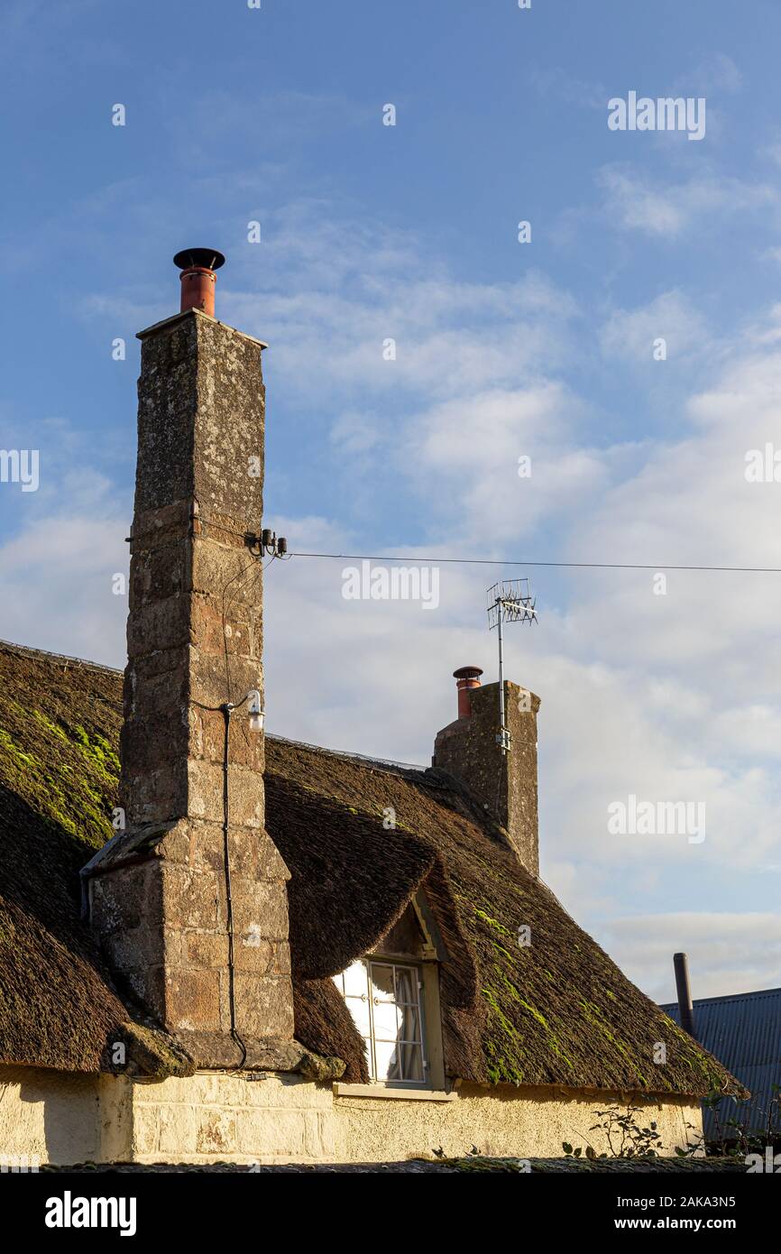 Devon roof, stone chimneys,thatch,thatching. a material, as straw, rushes, leaves, or the like, used to cover roofs, grain stacks, Stock Photo
