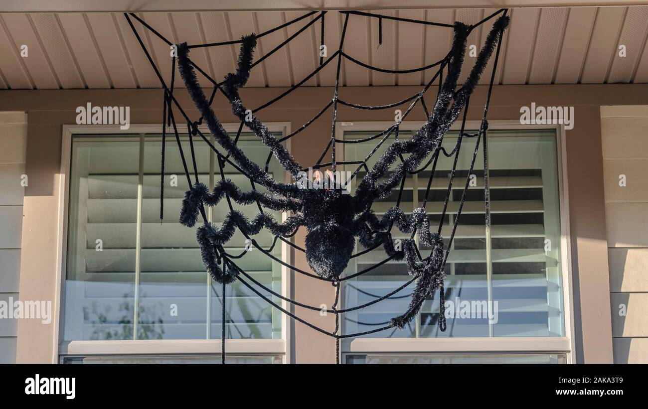 Panorama Large Creepy Black Halloween Spider Decoration On A Sunny