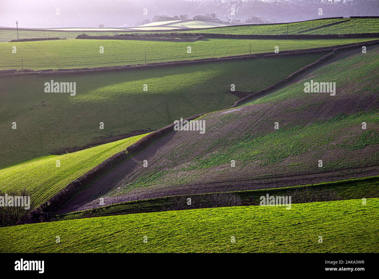 Devon fields in the winter, Stock Photo