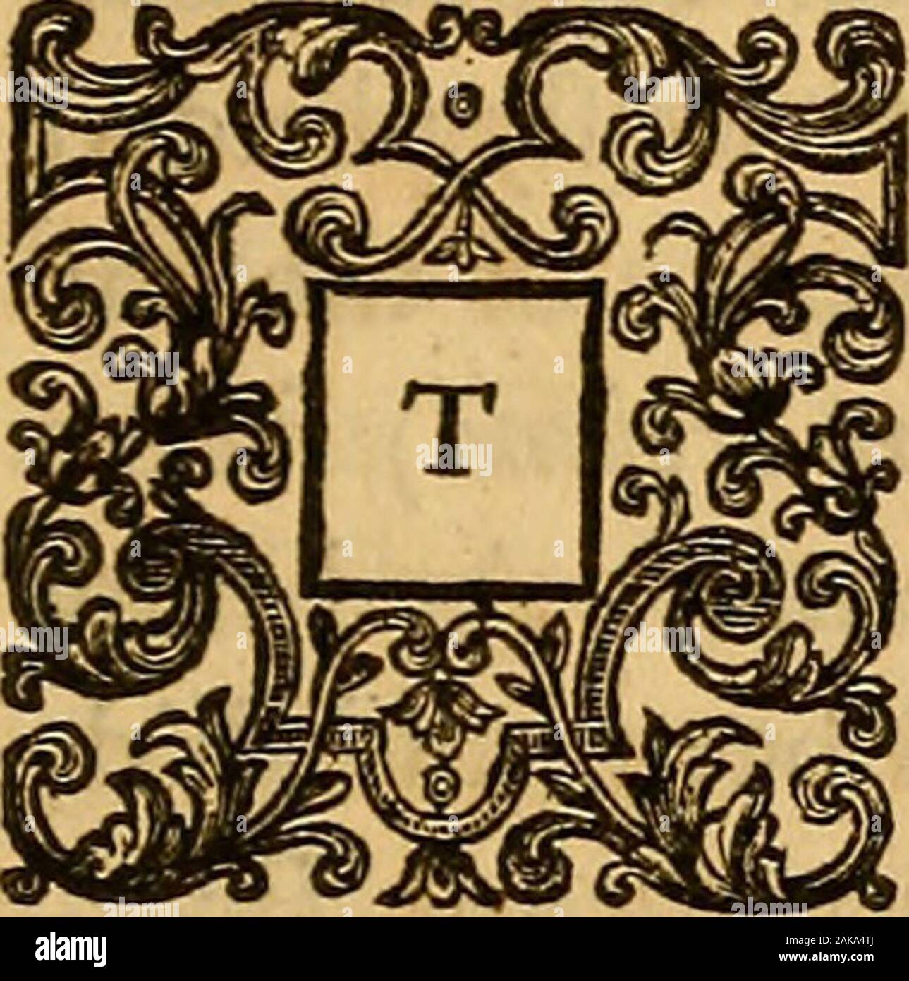 Sermons on several important subjects of religion and morality : to which are added two tracts ... . Z 4 .AM A N E N QUIRY Concerning the ANTICLUITY O F T H E PRACTICE O F Infant-Communion, As founded on the Notion of itsStrict Necessity. AN. ENQUIRY, &c, HE Ankle of InfantCo?nmUnion, tho not much thoughtof amongft us (as we havenot had much Occafion) isa Part of the general Subjedtof the Euchanjl, and maydeferve fome Conlideration at this Time ; if itbe only for the Sake of cleariag up a Point ofDodtrine in fome Degree, and for the obviat-ing fuch Scruples as have been raifed about it.Some ha Stock Photo