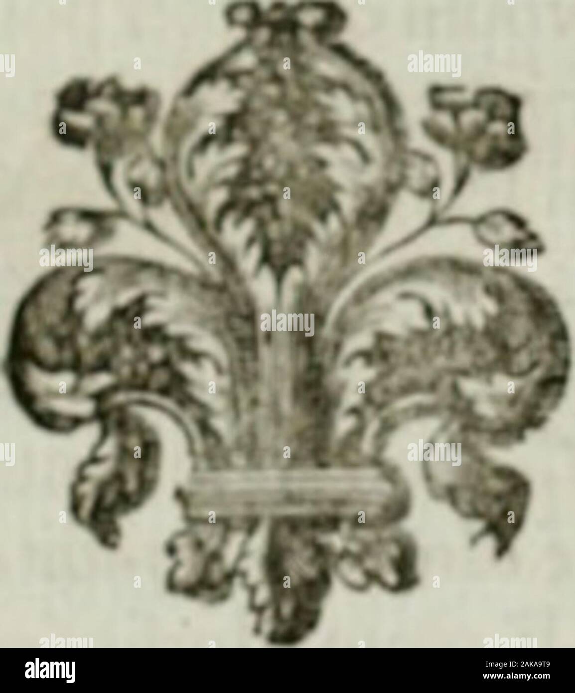 Histoire de l'Académie royale des inscriptions et belles lettres, depuis son establissement jusqu'à présent : Avec les Mémoires de littérature tirez des registres de cette Académie depuis son renouvellement jusqu'en 1710 . ulles. Ced luy. «Jil M. Racine, qui, ilepuij Virgile, noui a lemieux ntuntrc quon pouvoit cllre grand Poète dans un ou-vrage didactique. Son Art |x&gt;ëti&lt;|uc Icra toujours regardecomme un Pot nie admirable, non-leulenicnt par lordre desmalitres, la jultcllèdes expreflions, la lolidité des préceptes& la rvjbiclîc de la vcrfihcation, mais encore par celte cton-nanle ariit Stock Photo