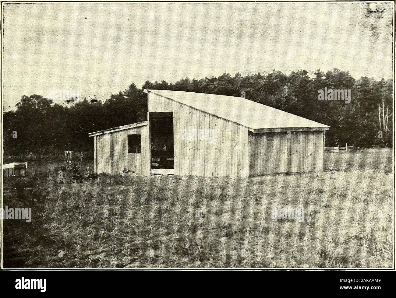Open Air Poultry Houses For All Climates A Practical Book On Modern Common Sense Poultry Housing For Beginners And Veterans In Poultry Keepingwhat To Build And How To Do Ithouses That Will Promote