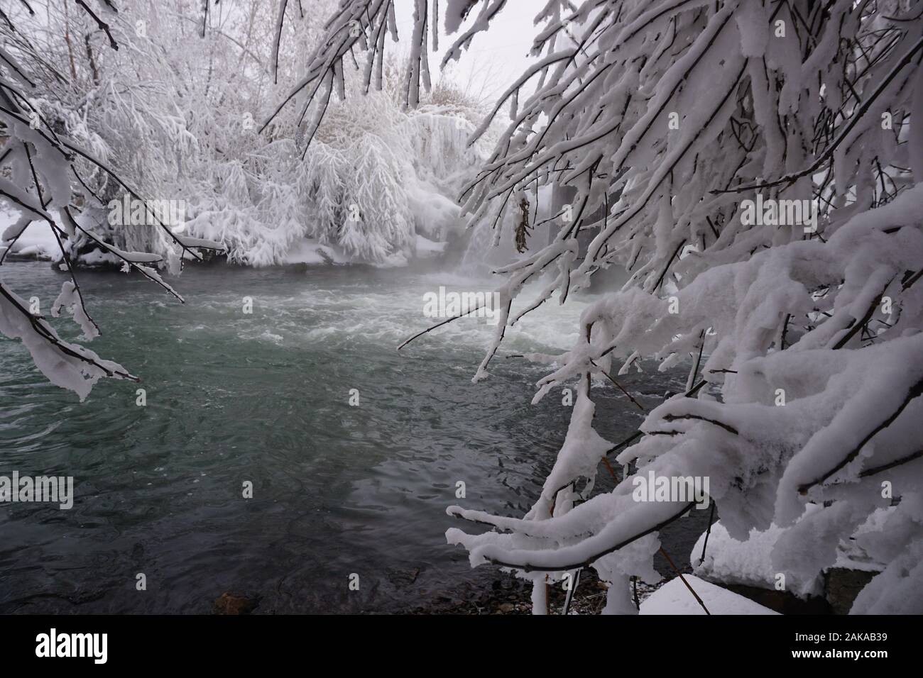 winter, snow, river, trees, beautiful winter landscape Stock Photo
