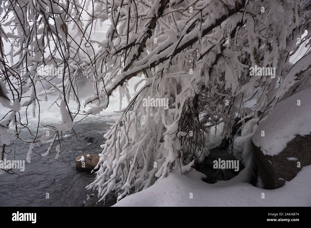 Siberia - snowy winter terrain